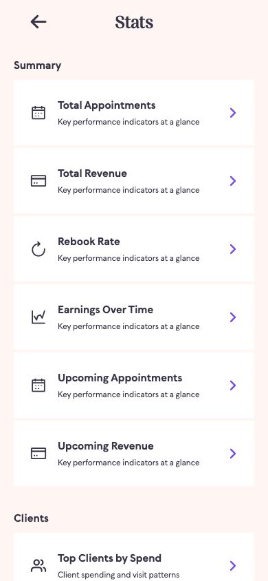 Current JENA Stats screen showing revenue, rebooking and earnings reports